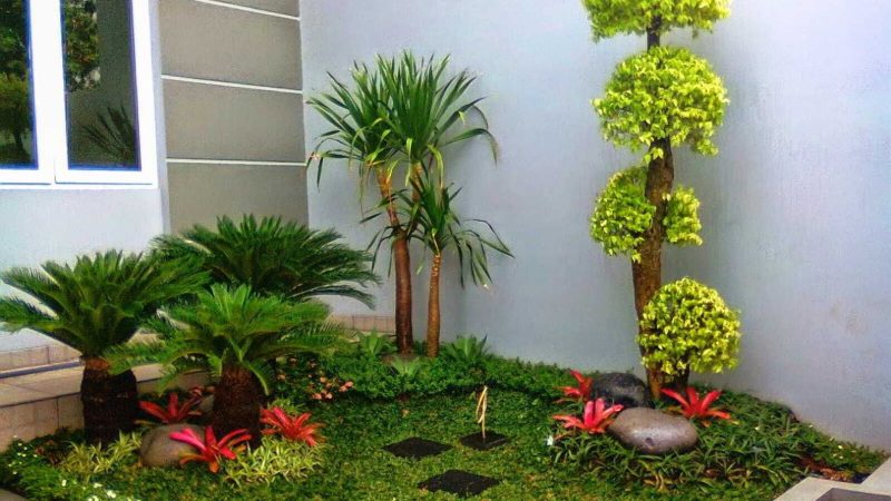 taman
